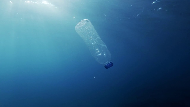 Video Reference: Water, Atmosphere, Liquid, Azure, Underwater, Fluid, Marine biology, Fish, Electric blue, Ocean