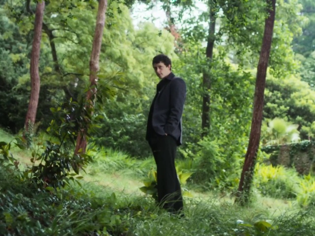 Video Reference: Plant, People in nature, Tree, Terrestrial plant, Wood, Natural landscape, Trunk, Groundcover, Grass, Deciduous