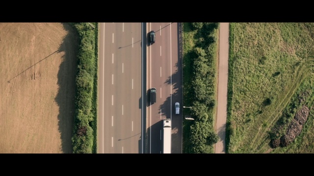 Video Reference: Plant, Asphalt, Road surface, Wood, Line, Wall, Car, Automotive tire, Automotive exterior, Urban design