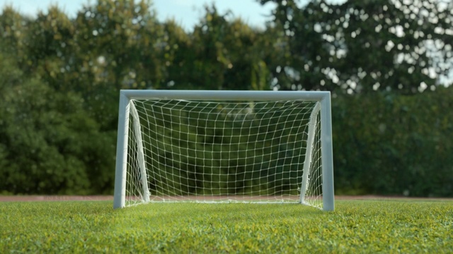 Video Reference: Soccer, Plant, Grass, Tree, Net, Team sport, Goal, Sports, Grassland, Symmetry