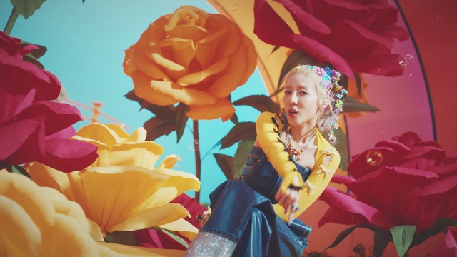 Video Reference: Flower, Plant, Leaf, Petal, Orange, Happy, Pink, Fun, Rose, Snapshot