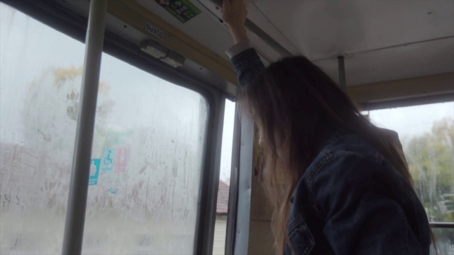 Video Reference: Window, Wood, Tints and shades, Glass, Vehicle door, Automotive window part, Tree, Reflection, Windshield, Ceiling