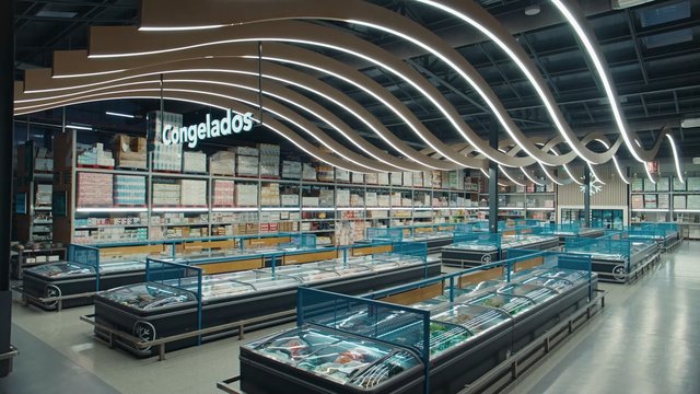 Video Reference: supermarket, grocery store, frozen food, freezer aisle, retail interior, commercial space, shelves, chest freezers, modern lighting, warehouse store, indoor, food market, empty aisle, wide shot, consumer goods