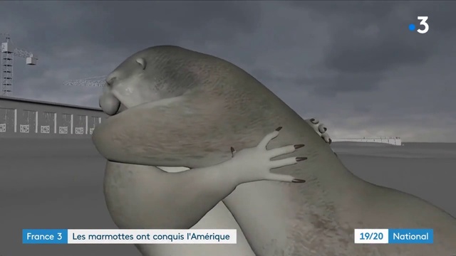 Video Reference: Sky, Cloud, Marine mammal, Terrestrial animal, Wildlife, Font, Landscape, Screenshot, Liquid, Art