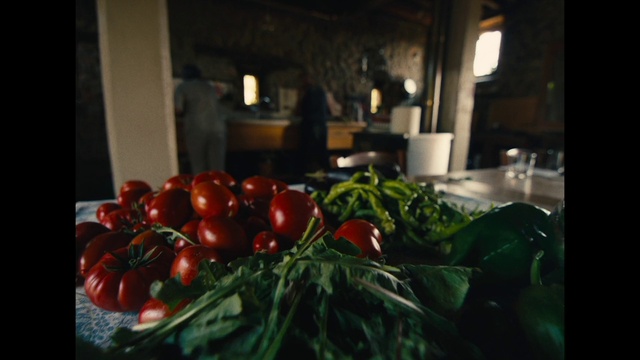 Video Reference: Food, Natural foods, Plant, Ingredient, Picture frame, Tableware, Vegetable, Plum tomato, Cherry Tomatoes, Leaf vegetable