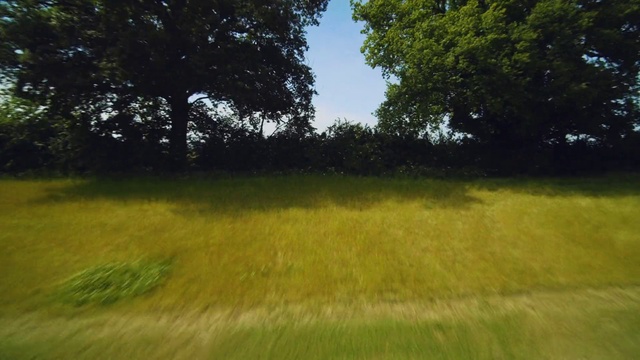 Video Reference: Plant, Natural landscape, Sky, Grass, Tree, Wood, Landscape, Tints and shades, Horizon, Forest