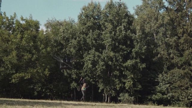 Video Reference: Plant, Plant community, Natural landscape, Tree, Sky, Grass, Evergreen, Landscape, Grassland, Meadow