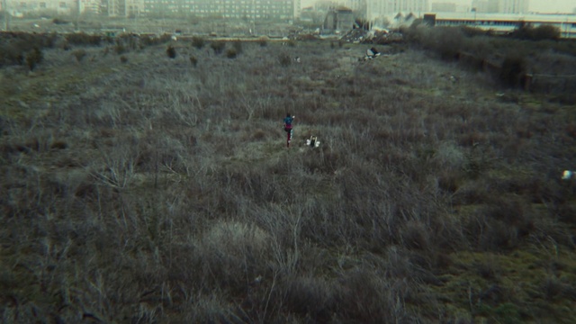 Video Reference: Plant, Natural landscape, Grassland, Plain, Landscape, Grass, Prairie, Tree, Soil, Steppe