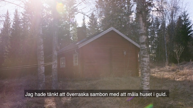 Video Reference: Building, Tree, Wood, Natural landscape, House, Branch, Window, Plant, Biome, Atmospheric phenomenon