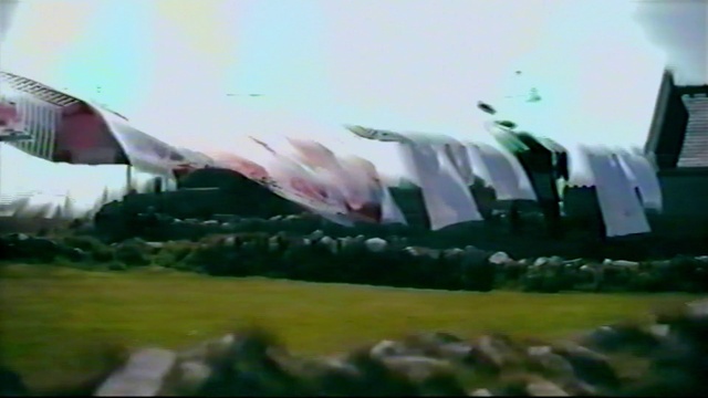 Video Reference: Sky, Gesture, Natural landscape, Grass, Tints and shades, Landscape, Grassland, Art, Paint, Petal