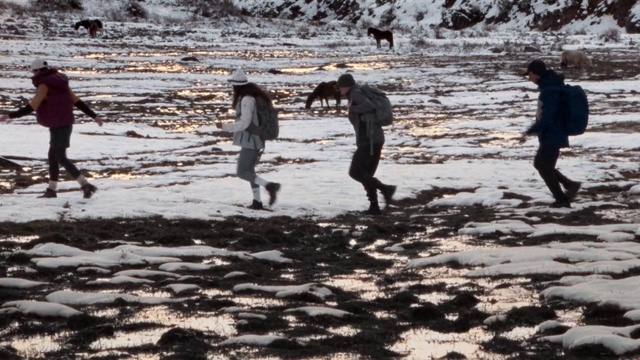 Video Reference: Water, People in nature, Gesture, Wood, Body of water, Tree, People on beach, Recreation, Freezing, Fun