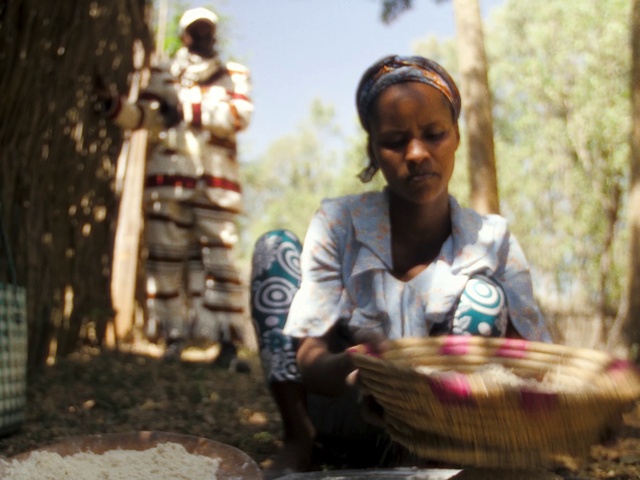 Video Reference: Membranophone, Plant, Idiophone, Tire, Wheel, Temple, Tree, Wood, Automotive tire, Happy