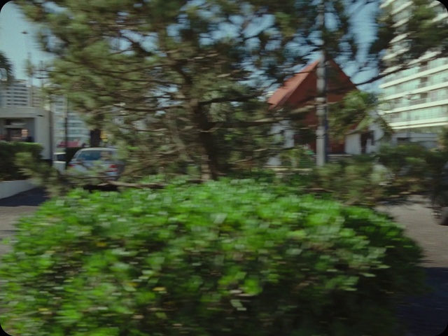 Video Reference: Plant, Building, Branch, Road surface, Asphalt, Neighbourhood, Woody plant, Grass, Residential area, Motor vehicle