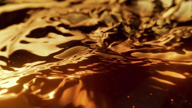 Video Reference: Liquid, Water, Natural environment, Wood, Branch, Body of water, Twig, Trunk, Grass, Tints and shades