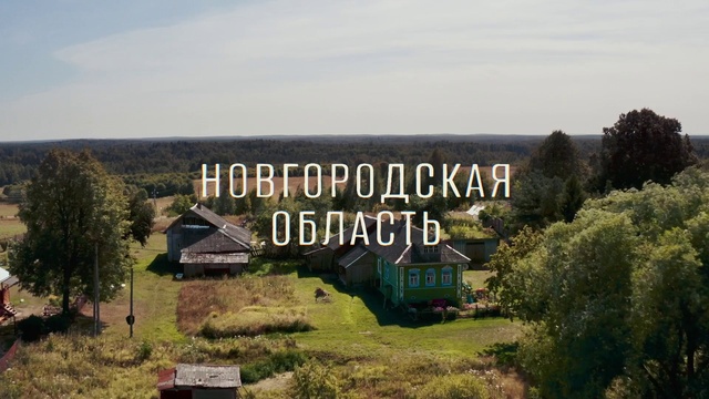 Video Reference: Plant, Property, Plant community, Cloud, Ecoregion, Sky, Nature, Natural landscape, Tree, Natural environment