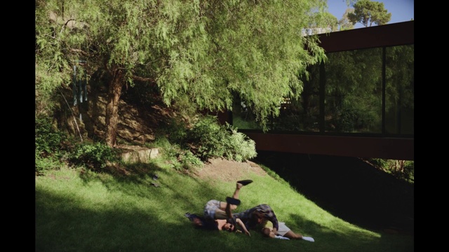 Video Reference: Plant, Leaf, Tree, Vegetation, Grass, Woody plant, People in nature, Landscape, Leisure, Groundcover