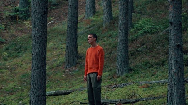 Video Reference: Plant, People in nature, Natural landscape, Wood, Tree, Trunk, Terrestrial plant, Deciduous, Grass, T-shirt