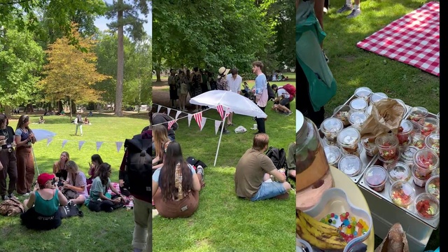 Video Reference: Plant, Green, Tree, Umbrella, Grass, Shade, Leisure, Fun, Crowd, Chair