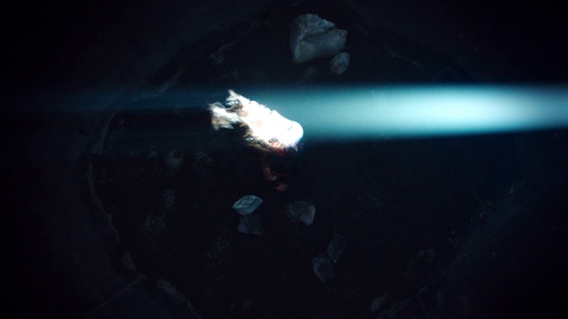 Video Reference: Water, Underwater, Marine invertebrates, Marine biology, Electric blue, Space, Darkness, Event, Cnidaria, Ocean