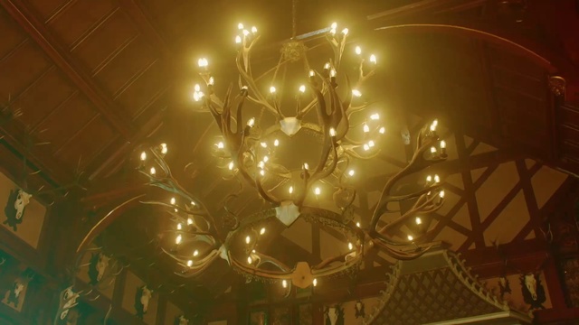 Video Reference: Electricity, Gold, Tints and shades, Chandelier, Twig, Event, Circle, Decoration, Art, Pattern
