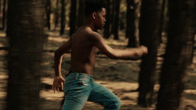 Video Reference: People in nature, Wood, Flash photography, Standing, Gesture, Happy, Waist, Chest, Trunk, Trunk