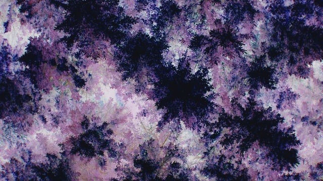 Video Reference: Purple, Violet, Art, Font, Astronomical object, Magenta, Electric blue, Symmetry, Pattern, Grass