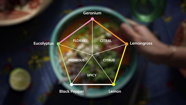 Video Reference: Terrestrial plant, World, Astronomical object, Font, Science, Circle, Art, Slope, Symmetry, Planet