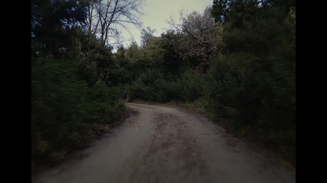 Video Reference: Plant, Sky, Tree, Natural landscape, Road surface, Wood, Asphalt, Thoroughfare, Tints and shades, Road