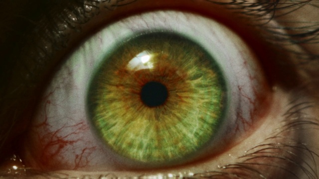 Video Reference: Eye, Eyelash, Green, Organ, Nerve, Close-up, Terrestrial plant, Macro photography, Circle, Event