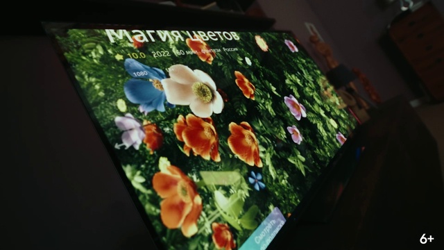Video Reference: Flower, Plant, Petal, Art, Paint, Rectangle, Display device, Painting, Annual plant, Flat panel display