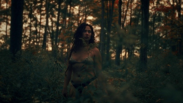 Video Reference: Plant, Flash photography, Wood, Tree, People in nature, Trunk, Natural landscape, Fawn, Grass, Tints and shades