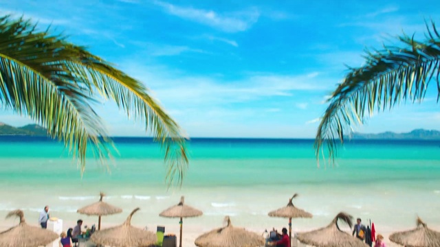 Video Reference: Water, Sky, Cloud, Blue, Plant, Beach, People on beach, Tree, Arecales, Travel