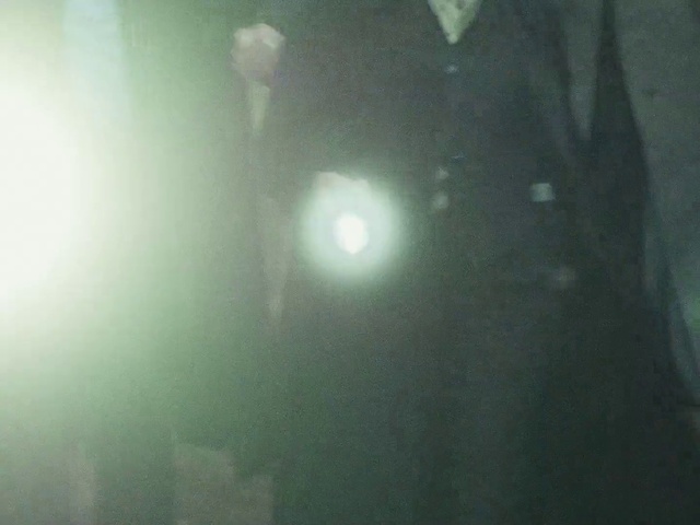 Video Reference: Atmosphere, Water, Plant, Tree, Lens flare, Forest, Sky, Darkness, Transparent material, Electric blue