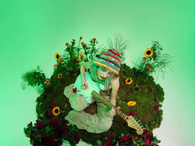 Video Reference: Green, Plant, Christmas ornament, Branch, Holiday ornament, Organism, Evergreen, Ornament, Woody plant, Art