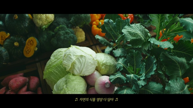 Video Reference: Food, Plant, Natural foods, Staple food, Squash, Leaf vegetable, Ingredient, Winter squash, Cucurbita, Whole food