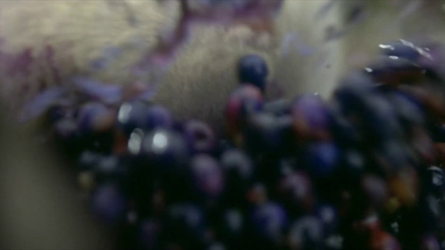 Video Reference: Food, Grass, Electric blue, Natural foods, Fruit, Macro photography, Glass, Tree, Freezing, Fashion accessory