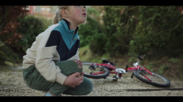 Video Reference: Bicycle, Tire, Wheel, Land vehicle, Plant, Bicycles--Equipment and supplies, Bicycle wheel, Bicycle tire, Bicycle handlebar, Tree