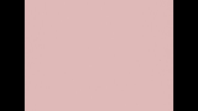 Video Reference: blank, pink, solid color, minimal, abstract, background, empty, flat, pastel, textureless