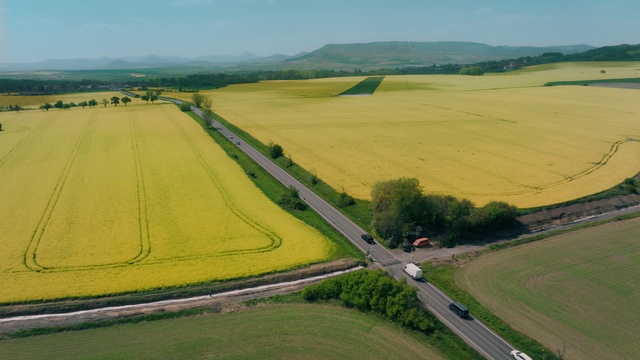 Video Reference: Plant, Sky, Ecoregion, Nature, Natural landscape, Slope, Asphalt, Land lot, Grassland, Thoroughfare