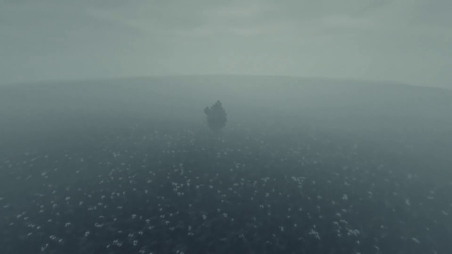 Video Reference: Water, Sky, Fog, Cloud, Landscape, Underwater, Horizon, Haze, Mist, Tree