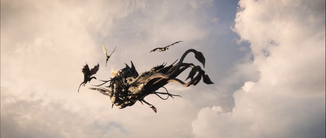 Video Reference: Cloud, Sky, Plant, Arthropod, Twig, Wood, Water, Insect, Pest, Natural landscape