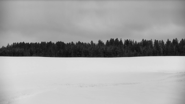Video Reference: Cloud, Sky, Plant, Water, Natural landscape, Tree, Slope, Body of water, Grey, Evergreen