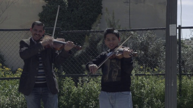 Video Reference: Musical instrument, Plant, String instrument, String instrument, Violin, Violin family, Musician, Violist, Tree, Music