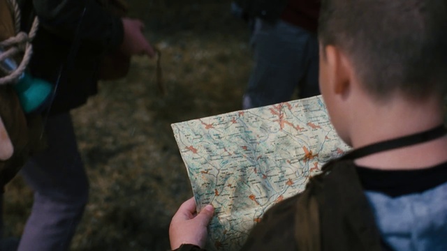 Video Reference: Leaf, Natural environment, Organism, Gesture, Map, Grass, Adaptation, Fun, Event, Recreation