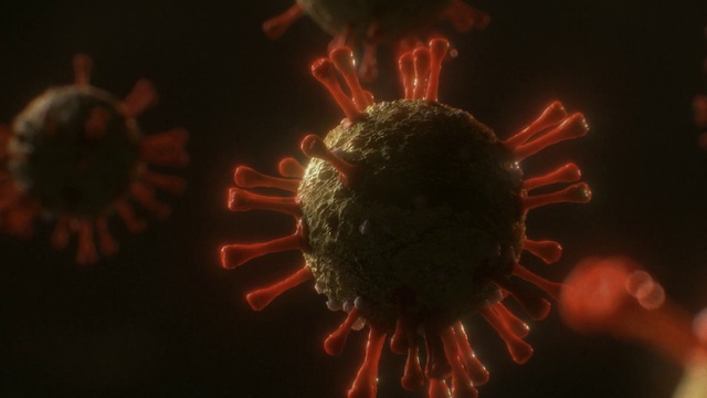 Video Reference: Organism, Entertainment, Heat, Gas, Astronomical object, Event, Space, Darkness, Close-up, Macro photography