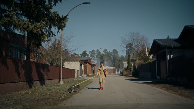 Video Reference: Plant, Sky, Building, Street light, Road surface, Asphalt, Tree, Land lot, House, Sunlight