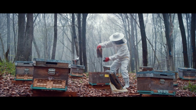Video Reference: Beekeeper, Wood, Apiary, Tree, Hat, Beehive, Pollinator, Helmet, Sun hat, Event