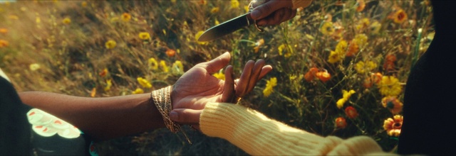 Video Reference: Plant, People in nature, Organism, Gesture, Grass, Finger, Tree, Thumb, Wood, Adaptation
