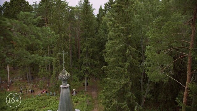 Video Reference: Plant, Tree, Wheel, Terrestrial plant, Natural landscape, Evergreen, Grass, Wood, Trunk, Larch