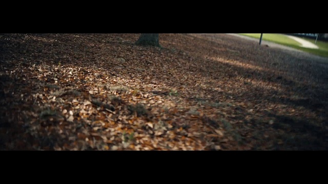 Video Reference: Atmosphere, Window, Automotive tire, Road surface, Wood, Plant, Asphalt, Automotive lighting, Natural landscape, Grass